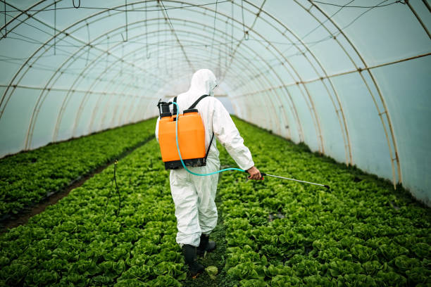Best Affordable Pest Control Services  in Baldwinville, MA
