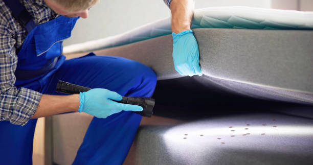 Best Best Pest Control Companies  in Baldwinville, MA